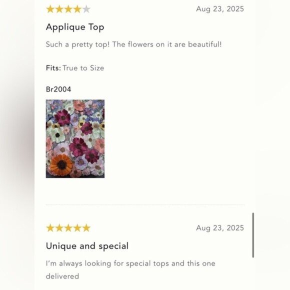 NWT Size M - Dolan Left Coast Flower Appliqué Sheer Tee Flowers  (NWT US$ 128) - Picture 14 of 16